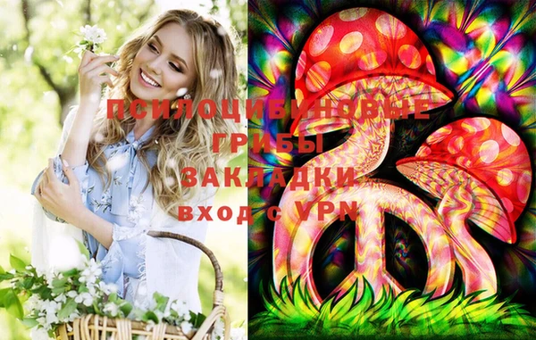 соль ск Верхний Тагил